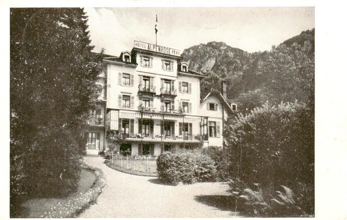 Vitznau Witznau Vierwaldstaettersee LU Hotel Alpenrose