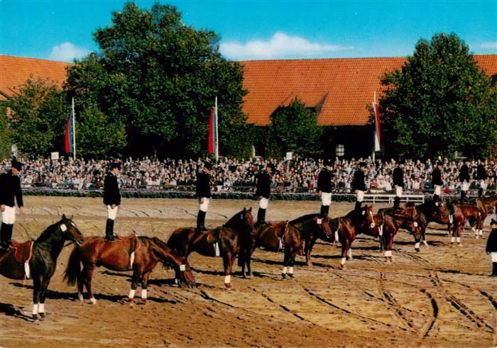 Warendorf Hengstparade Nordrhein-Westfaelisches Landgestuet