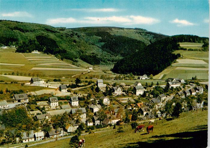 Schwalefeld Panorama Blick vom Luer