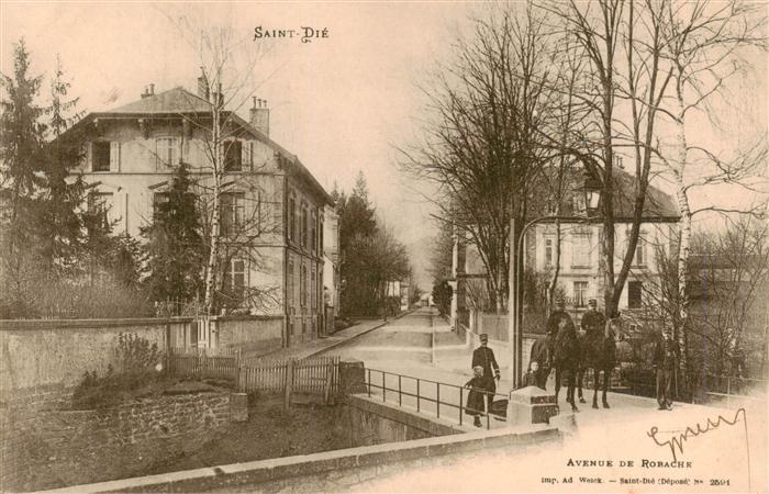 Saint-Die-des-Vosges Avenue de Robache