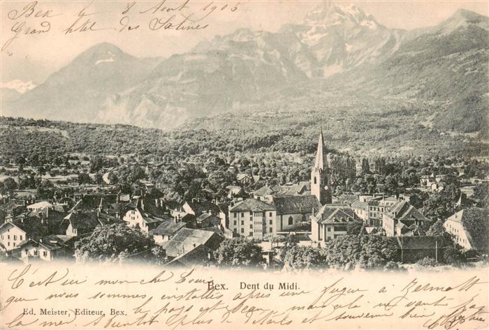 Bex-les-Bains VD Panorama et Dent du Midi