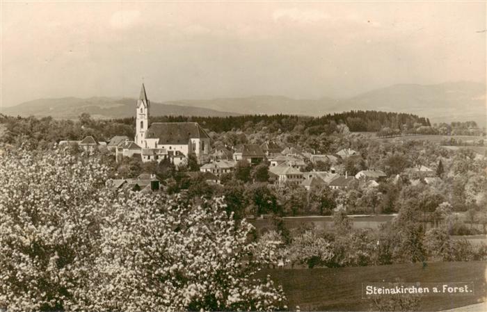 Steinakirchen Forst Niederoesterreich AT Panorama mit Kirche