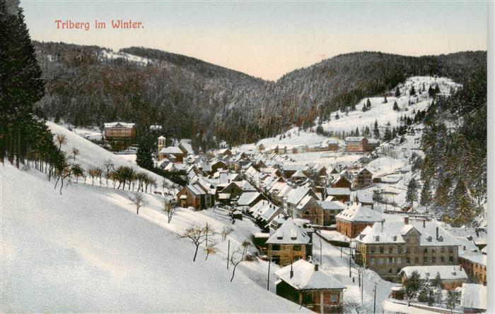 Triberg Winterpanorama