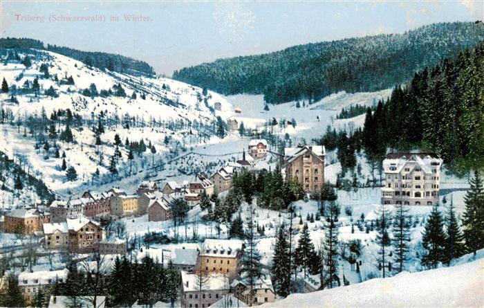Triberg Winterpanorama
