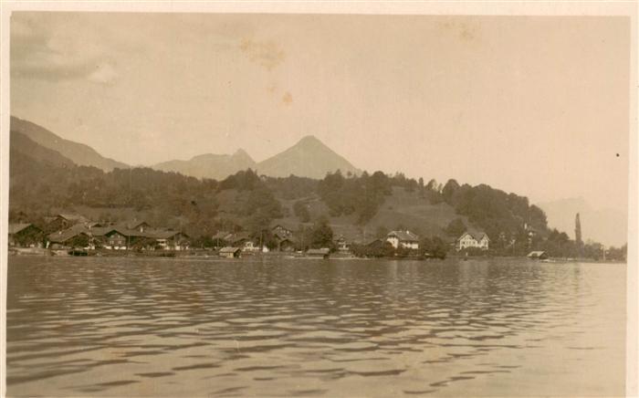Daerligen Thunersee BE Panorama