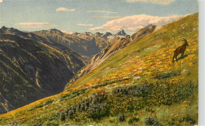 Val Cluosa Val Cluozza Zernez GR Abendstimmung auf Alp Murter Gemaelde