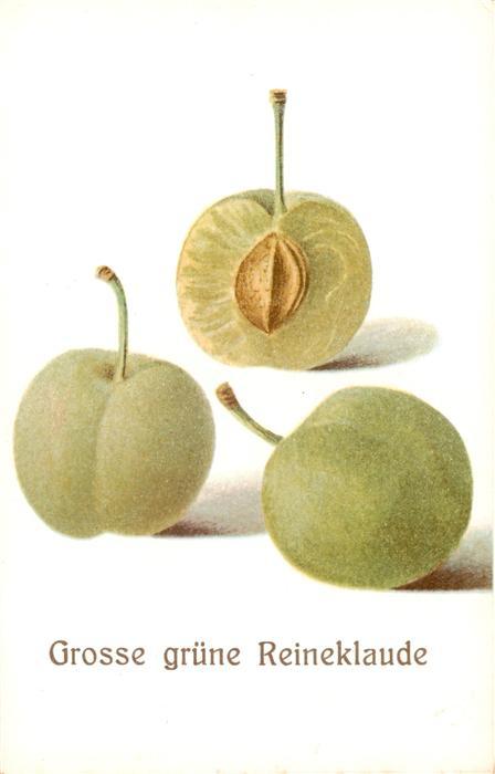 Obst Reineklaude Edel-Pflaume