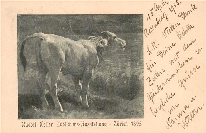 Koller Rudolf Kuenstlerkarte Zuerich Jubilaeums-Ausstellung Kalb