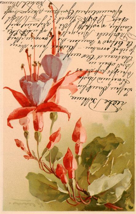 Klein Catharina Kuenstlerlitho