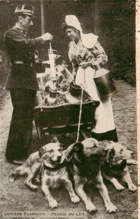 Hunde dogs chiens Pesage du Lait Milch