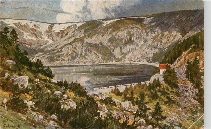 Liebich Curt Kuenstlerkarte Lac Noir