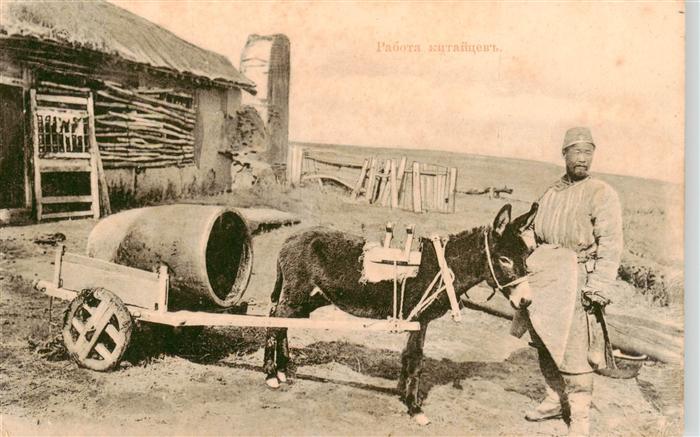 Landwirtschaft Russland Esel