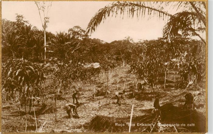 Kaffee Cafe Roca Eoa Entrada