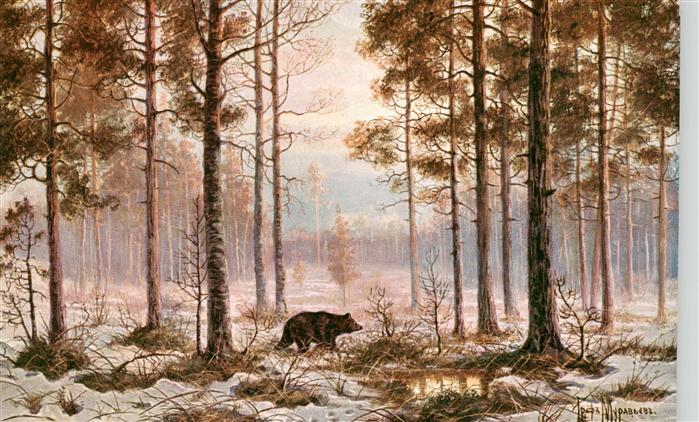 Murawjeff Graf Kuenstlerkarte Baer in der Abenddaemmerung Wald