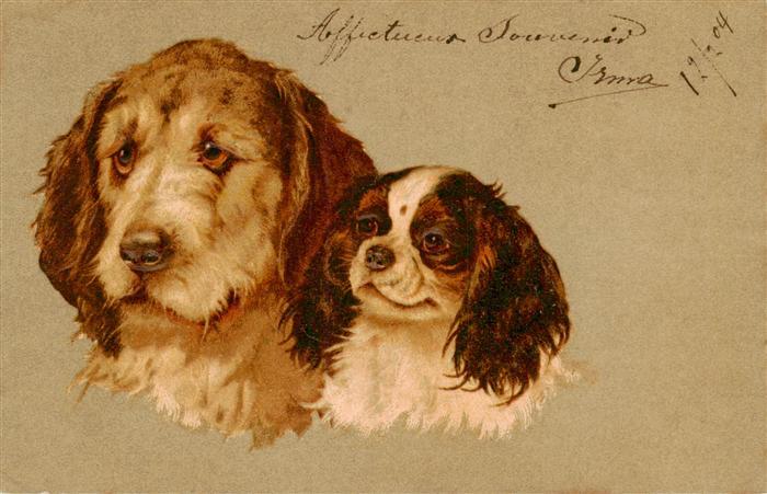 Dackel Dachshund Teckel Hunde dogs Chiens Cani Litho