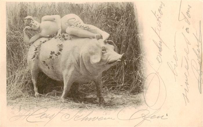 Schweine Frau