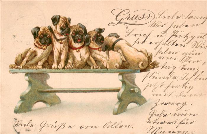 Hunde dogs chiens Mops Litho