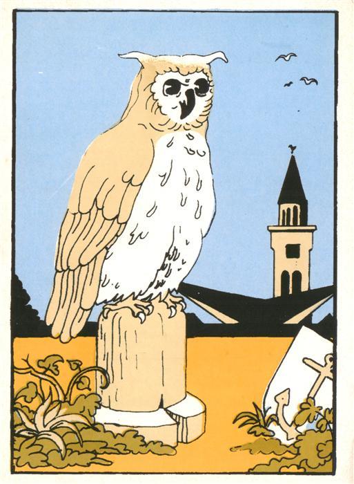 Eule Owl Hibou Chouette-- Ludwigshafen Friesenheim