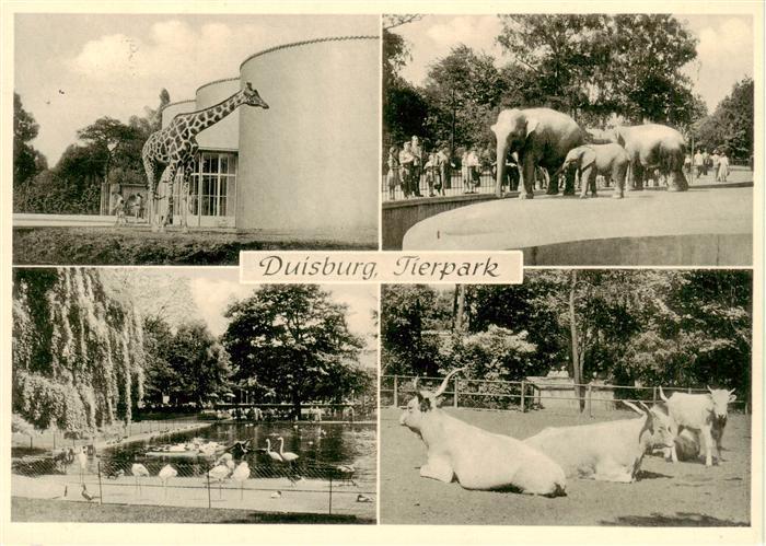 Zoo Gardin Zoologique-- Duisburg Tierpark Giraffe Elefant