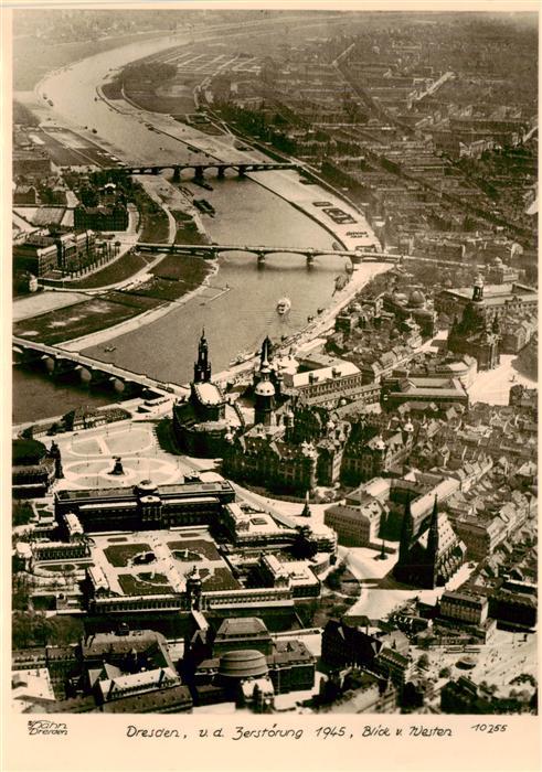 Foto Hahn Nr. 10255 Dresden Zwinger Elbe