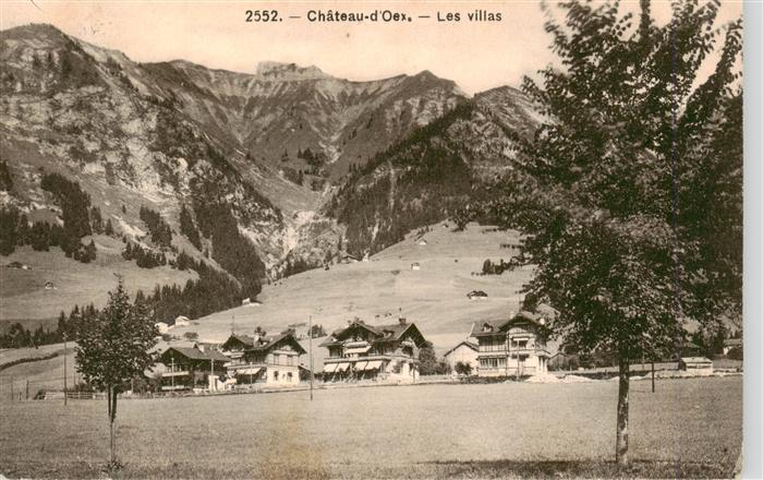 Chateau-d Oex VD Les villas