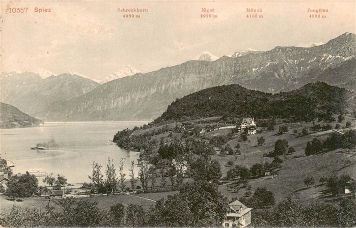 SPIEZ Thunersee BE Panorama Berner Alpen