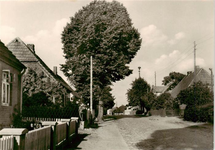 Hohen Viecheln Mecklenburg-Vorpommern Dorfstrasse