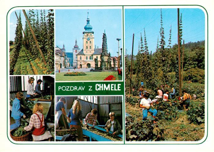 Zatec Saaz CZ Hopfenernte Rathaus