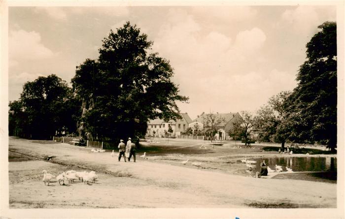 Trebiz Weissthurm Slany Schlan CZ Parkanlagen