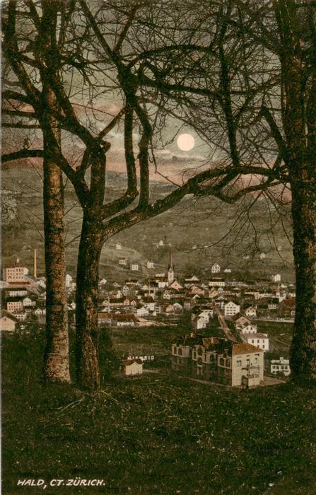 Wald ZH Durchblick vom Waldrand aus im Mondschein