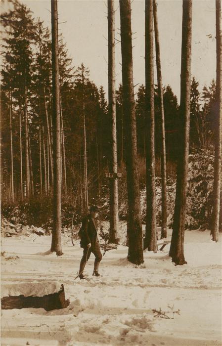 Horgen ZH Spaziergang im Wald
