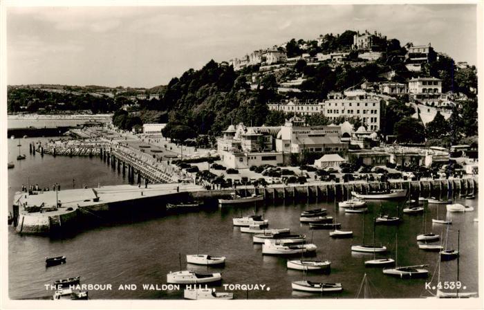 Torquay  UK Harbour and Waldon Hill aerial view