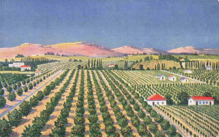 Jaffa Tel-Aviv Israel Panorama Orange Grove Kuenstlerkarte