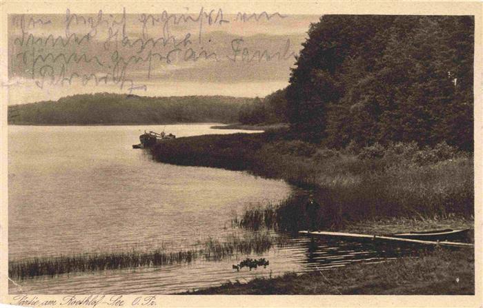 Tapiau Gwardeisk Kaliningrad RU Partie am Roethlofsee