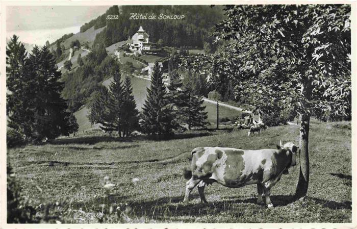 Sonloup Les Avants VD Hôtel de Sonluop Viehweide Kuehe