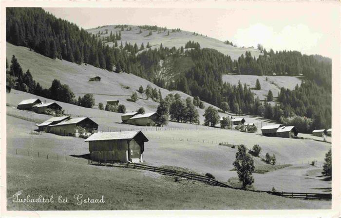 Gstaad Saanen BE Panorama Turbachtal