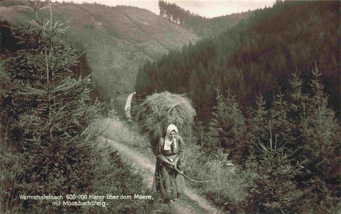 Warmensteinach Moosbachsteig Baeuerin Heuernte Perle des Fichtelgebirges