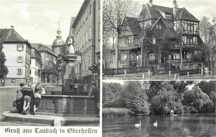 Laubach  Hessen Muettergenesungsheim Haus Friedensruh der AWO Hessen e.V. Schwan