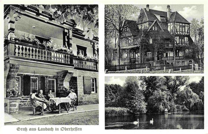 Laubach  Hessen Muettergenesungsheim Haus Friedensruh der AWO Hessen e.V. Schwan