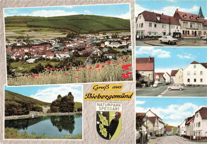 Biebergemuend Panorama Naturpark Spessart Ortsansichten Wappen