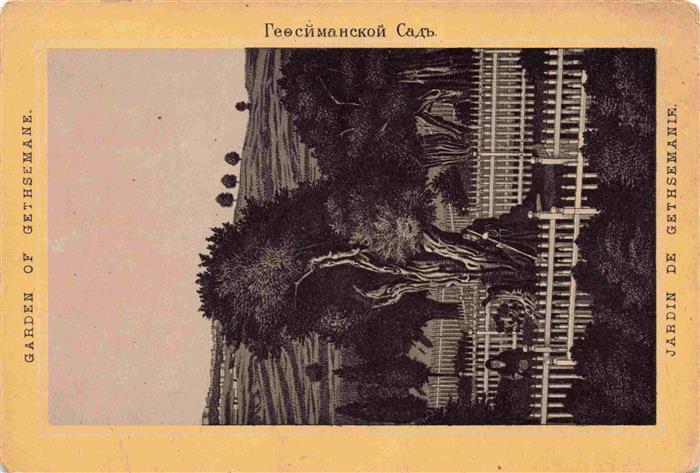 Gethsemane Gethsemani Israel Garten of Gethsemane