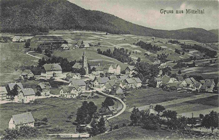 Mitteltal Schwarzwald Panorama