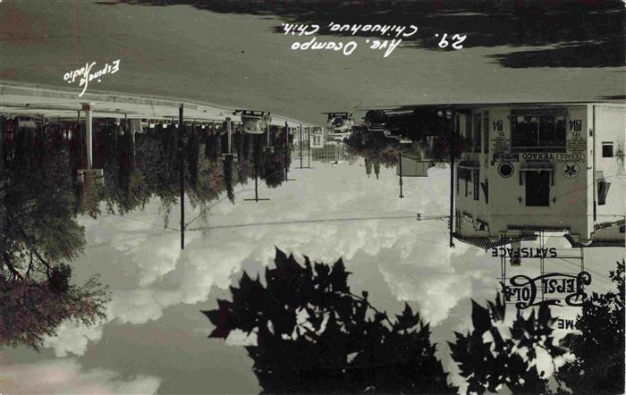 Chihuahua Mexico Ave Ocampo