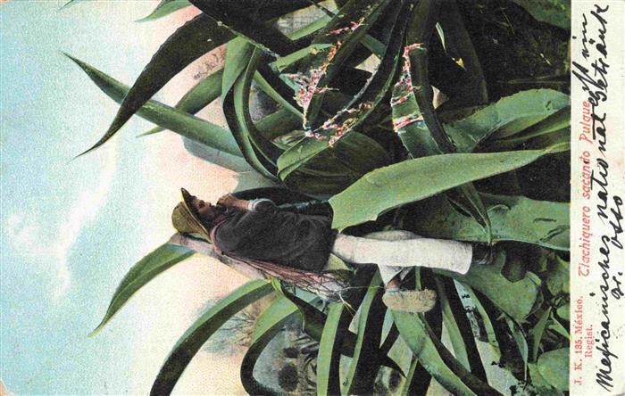 Mexico  City D.F. Mexico Motiv