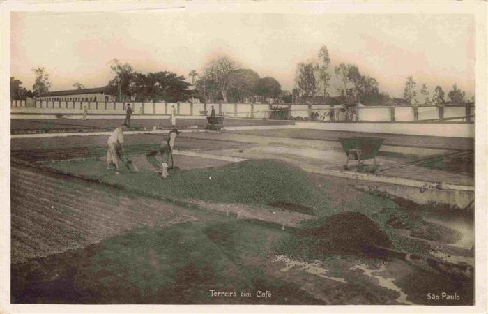 SAO PAULO Brazil Terreiro com Cafe