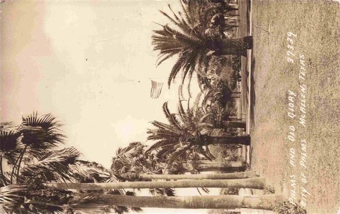 McAllen Mc Allen Texas USA Palms and Old Glory