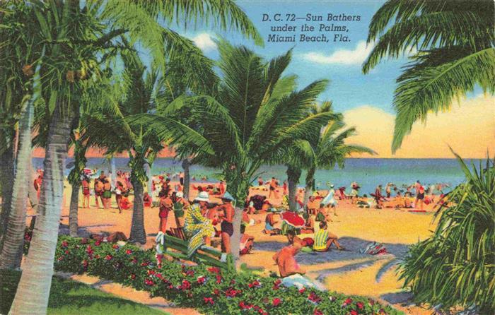 Miami Beach Sun Bathers under the palms Illustration