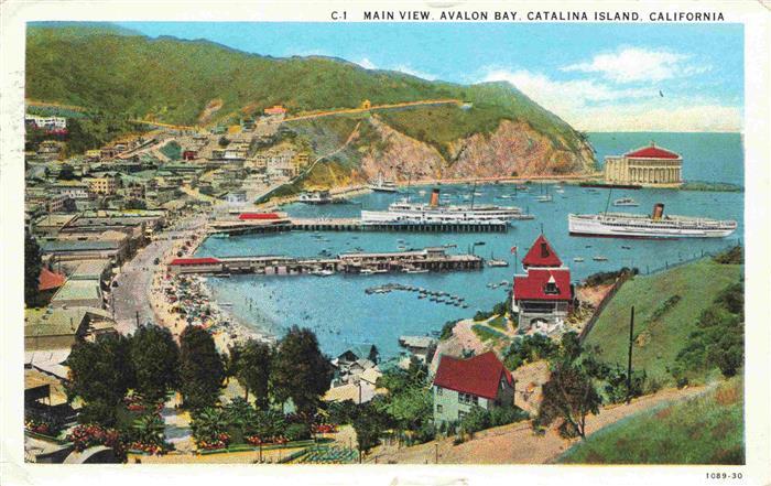 Catalina Island California USA Main view Avalon Bay and surroundings Illustratio