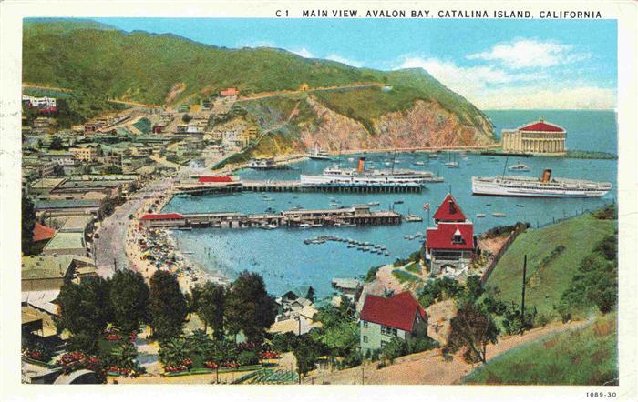 Catalina Island California USA Main view Avalon Bay and surroundings Illustratio