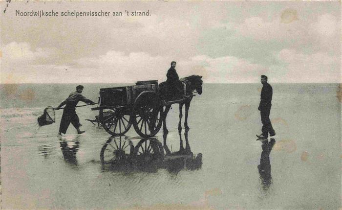 Nordwijk aan Zee NOORDWIJK aan Zee NL Noordwijksche schelpenvisscher aan 't stra